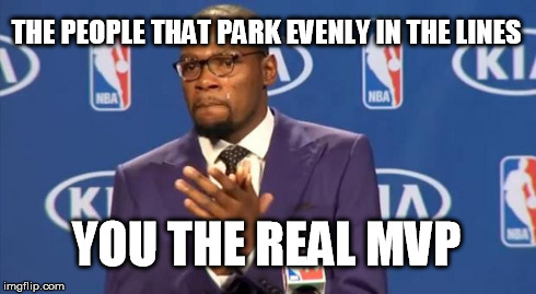 You The Real MVP Meme | THE PEOPLE THAT PARK EVENLY IN THE LINES YOU THE REAL MVP | image tagged in memes,you the real mvp | made w/ Imgflip meme maker