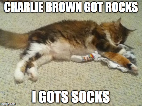 CHARLIE BROWN GOT ROCKS I GOTS SOCKS | image tagged in i gots socks | made w/ Imgflip meme maker