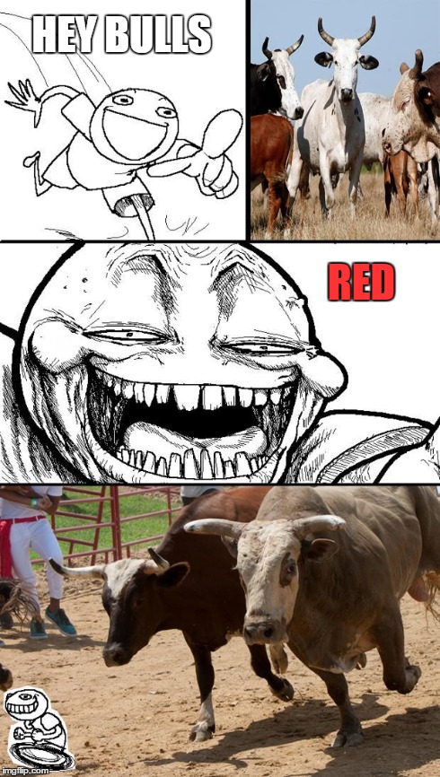 HEY BULLS RED | image tagged in hey bulls,hey internet,meme,memes | made w/ Imgflip meme maker