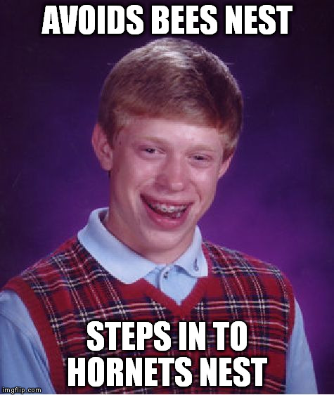 Bad Luck Brian Meme | AVOIDS BEES NEST STEPS IN TO HORNETS NEST | image tagged in memes,bad luck brian | made w/ Imgflip meme maker