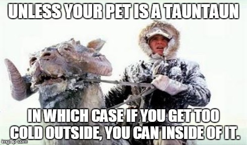 UNLESS YOUR PET IS A TAUNTAUN IN WHICH CASE IF YOU GET TOO COLD OUTSIDE, YOU CAN INSIDE OF IT. | made w/ Imgflip meme maker