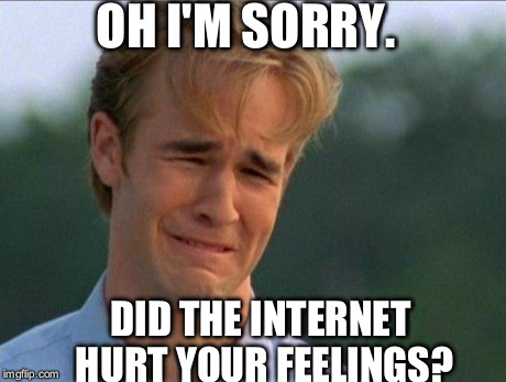 1990s First World Problems Meme | OH I'M SORRY. DID THE INTERNET HURT YOUR FEELINGS? | image tagged in crying dawson | made w/ Imgflip meme maker