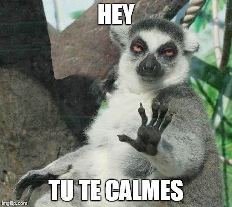 Stoner Lemur | HEY TU TE CALMES | image tagged in memes,stoner lemur | made w/ Imgflip meme maker