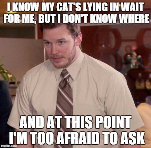 My cat likes to stalk and attack me... | I KNOW MY CAT'S LYING IN WAIT FOR ME, BUT I DON'T KNOW WHERE AND AT THIS POINT I'M TOO AFRAID TO ASK | image tagged in memes,afraid to ask andy,cats | made w/ Imgflip meme maker
