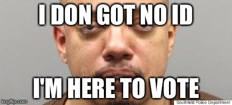 I DON GOT NO ID I'M HERE TO VOTE | image tagged in moonbat | made w/ Imgflip meme maker