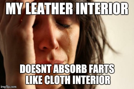 First World Problems | MY LEATHER INTERIOR DOESNT ABSORB FARTS LIKE CLOTH INTERIOR | image tagged in memes,first world problems | made w/ Imgflip meme maker