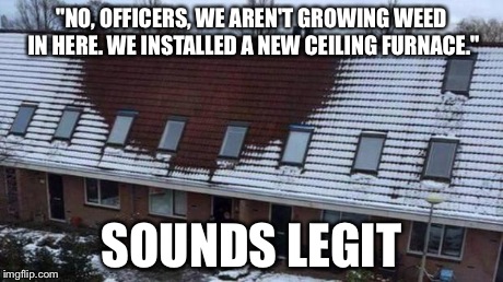 Suspicious Apartment | "NO, OFFICERS, WE AREN'T GROWING WEED IN HERE. WE INSTALLED A NEW CEILING FURNACE." SOUNDS LEGIT | image tagged in suspicious apartment | made w/ Imgflip meme maker