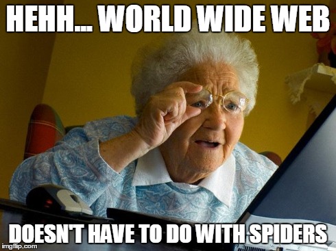 Grandma Finds The Internet | HEHH... WORLD WIDE WEB DOESN'T HAVE TO DO WITH SPIDERS | image tagged in memes,grandma finds the internet | made w/ Imgflip meme maker