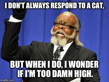 Too Damn High Meme | I DON'T ALWAYS RESPOND TO A CAT, BUT WHEN I DO, I WONDER IF I'M TOO DAMN HIGH. | image tagged in memes,too damn high | made w/ Imgflip meme maker