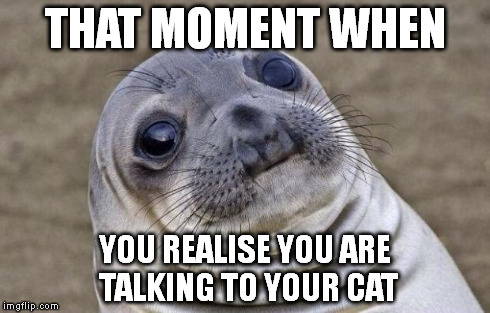 Awkward Moment Sealion Meme | THAT MOMENT WHEN YOU REALISE YOU ARE TALKING TO YOUR CAT | image tagged in memes,awkward moment sealion | made w/ Imgflip meme maker