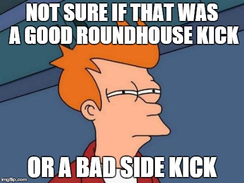 Futurama Fry Meme | NOT SURE IF THAT WAS A GOOD ROUNDHOUSE KICK OR A BAD SIDE KICK | image tagged in memes,futurama fry,martialarts | made w/ Imgflip meme maker