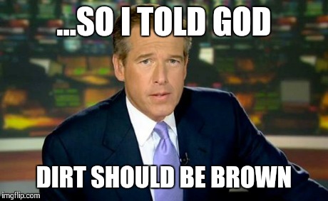 Brian Williams Was There Meme | ...SO I TOLD GOD DIRT SHOULD BE BROWN | image tagged in memes,brian williams was there | made w/ Imgflip meme maker