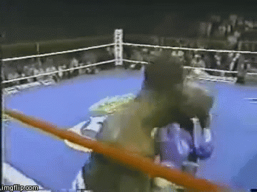 image tagged in gifs | made w/ Imgflip video-to-gif maker