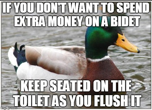 Actual Advice Mallard | IF YOU DON'T WANT TO SPEND EXTRA MONEY ON A BIDET KEEP SEATED ON THE TOILET AS YOU FLUSH IT | image tagged in memes,actual advice mallard | made w/ Imgflip meme maker