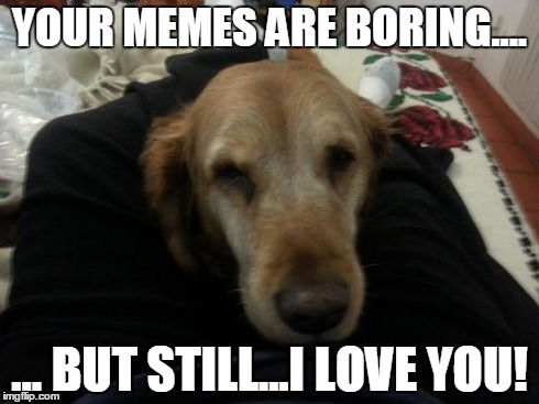 Boring. | YOUR MEMES ARE BORING.... ... BUT STILL...I LOVE YOU! | image tagged in memes,boring,doggie | made w/ Imgflip meme maker