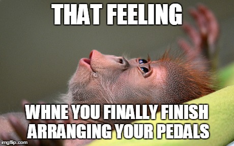THAT FEELING WHNE YOU FINALLY FINISH ARRANGING YOUR PEDALS | made w/ Imgflip meme maker
