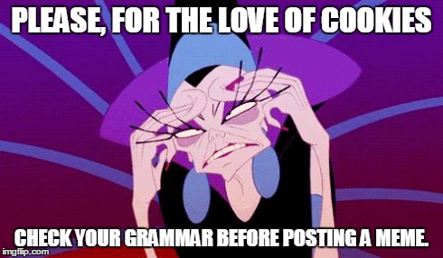 exasperated | PLEASE, FOR THE LOVE OF COOKIES CHECK YOUR GRAMMAR BEFORE POSTING A MEME. | image tagged in exasperated | made w/ Imgflip meme maker