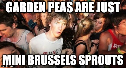 Sudden Clarity Clarence Meme | GARDEN PEAS ARE JUST MINI BRUSSELS SPROUTS | image tagged in memes,sudden clarity clarence | made w/ Imgflip meme maker