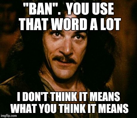 Inigo Montoya | "BAN".  YOU USE THAT WORD A LOT I DON'T THINK IT MEANS WHAT YOU THINK IT MEANS | image tagged in memes,inigo montoya | made w/ Imgflip meme maker