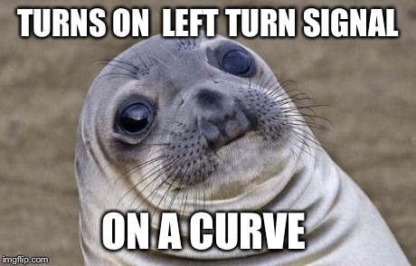 Awkward Moment Sealion | TURNS ON  LEFT TURN SIGNAL ON A CURVE | image tagged in memes,awkward moment sealion | made w/ Imgflip meme maker