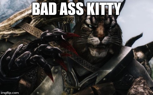 BAD ASS KITTY | image tagged in awesome | made w/ Imgflip meme maker