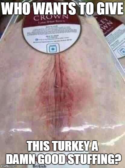 WHO WANTS TO GIVE THIS TURKEY A DAMN GOOD STUFFING? | image tagged in last turkey | made w/ Imgflip meme maker