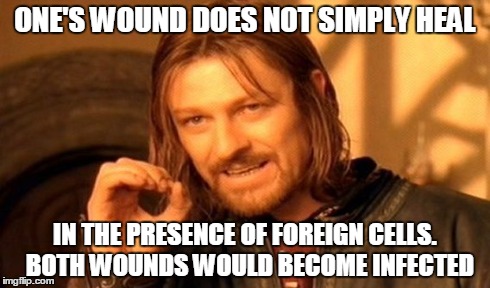 One Does Not Simply Meme | ONE'S WOUND DOES NOT SIMPLY HEAL IN THE PRESENCE OF FOREIGN CELLS.  BOTH WOUNDS WOULD BECOME INFECTED | image tagged in memes,one does not simply | made w/ Imgflip meme maker