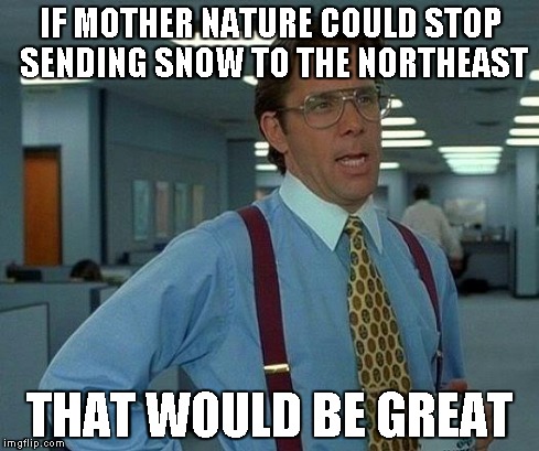 That Would Be Great | IF MOTHER NATURE COULD STOP SENDING SNOW TO THE NORTHEAST THAT WOULD BE GREAT | image tagged in memes,that would be great | made w/ Imgflip meme maker