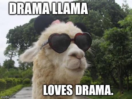 Drama Llama | DRAMA LLAMA LOVES DRAMA. | image tagged in cool llama,drama | made w/ Imgflip meme maker