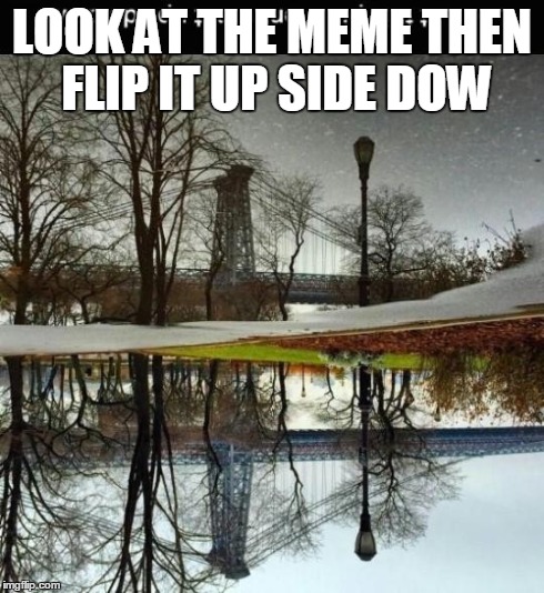 LOOK AT THE MEME THEN FLIP IT UP SIDE DOW | image tagged in weird,meme | made w/ Imgflip meme maker