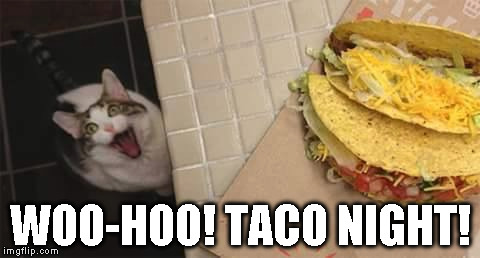 Taco Night | WOO-HOO! TACO NIGHT! | image tagged in cats,greedy,tacos | made w/ Imgflip meme maker