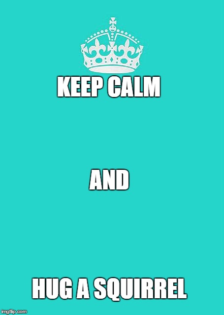 Keep Calm And Carry On Aqua | KEEP CALM HUG A SQUIRREL AND | image tagged in memes,keep calm and carry on aqua | made w/ Imgflip meme maker
