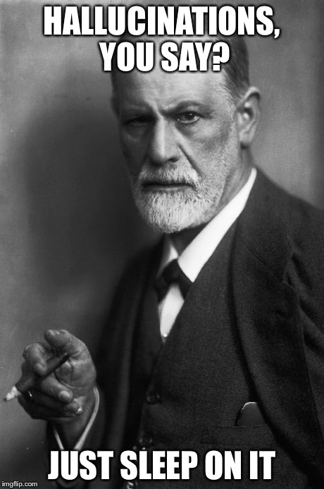 Sigmund Freud | HALLUCINATIONS, YOU SAY? JUST SLEEP ON IT | image tagged in memes,sigmund freud | made w/ Imgflip meme maker