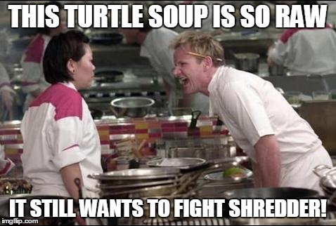 Angry Chef Gordon Ramsay Meme | THIS TURTLE SOUP IS SO RAW IT STILL WANTS TO FIGHT SHREDDER! | image tagged in memes,angry chef gordon ramsay | made w/ Imgflip meme maker