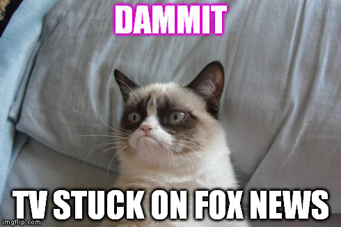 Grumpy Cat Bed | DAMMIT TV STUCK ON FOX NEWS | image tagged in memes,grumpy cat bed,grumpy cat | made w/ Imgflip meme maker