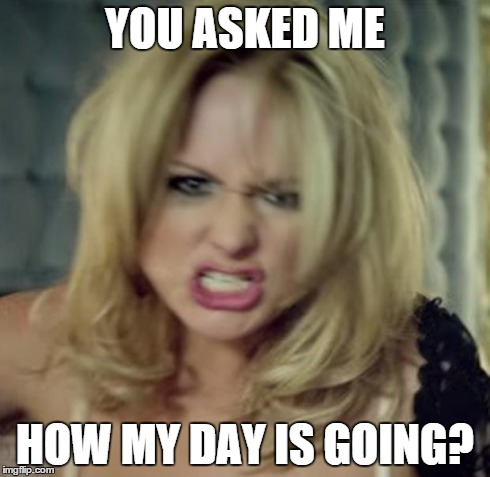 Very angry lady | YOU ASKED ME HOW MY DAY IS GOING? | image tagged in angry feminist,angry woman | made w/ Imgflip meme maker