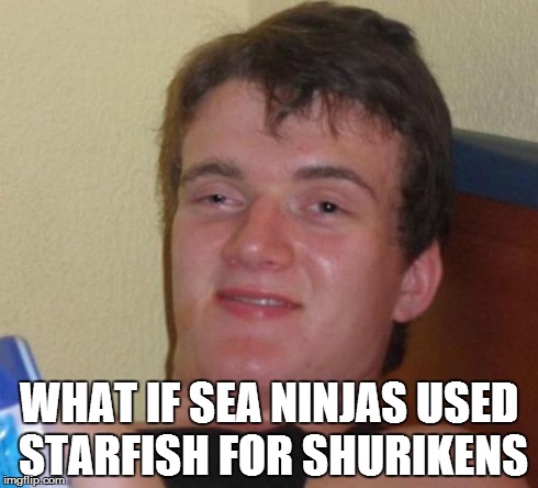 sea ninjas | WHAT IF SEA NINJAS USED STARFISH FOR SHURIKENS | image tagged in memes,10 guy | made w/ Imgflip meme maker