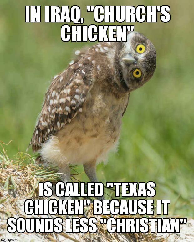 IN IRAQ, "CHURCH'S CHICKEN"  IS CALLED "TEXAS CHICKEN" BECAUSE IT SOUNDS LESS "CHRISTIAN" | image tagged in cuckoo owl | made w/ Imgflip meme maker