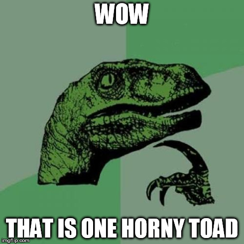 Philosoraptor Meme | WOW THAT IS ONE HORNY TOAD | image tagged in memes,philosoraptor | made w/ Imgflip meme maker