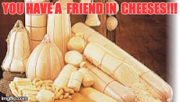 Bad Pun of the Day | YOU HAVE A  FRIEND IN  CHEESES!!! | image tagged in friends,food,cheese,satire,puns | made w/ Imgflip meme maker