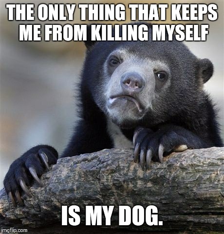 Confession Bear | THE ONLY THING THAT KEEPS ME FROM KILLING MYSELF IS MY DOG. | image tagged in memes,confession bear,AdviceAnimals | made w/ Imgflip meme maker