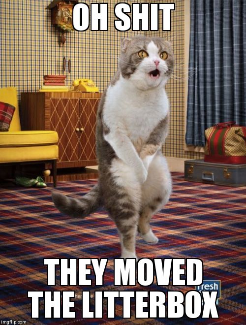 Gotta Go Cat | OH SHIT THEY MOVED THE LITTERBOX | image tagged in memes,gotta go cat | made w/ Imgflip meme maker