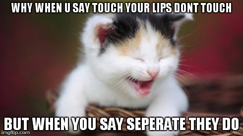 WHY??? | WHY WHEN U SAY TOUCH YOUR LIPS DONT TOUCH BUT WHEN YOU SAY SEPERATE THEY DO | image tagged in confused,kitten,hits blunt | made w/ Imgflip meme maker