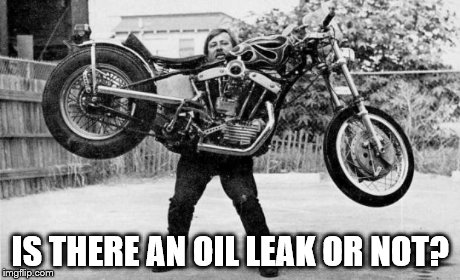 Harley dead lift | IS THERE AN OIL LEAK OR NOT? | image tagged in harley dead lift | made w/ Imgflip meme maker