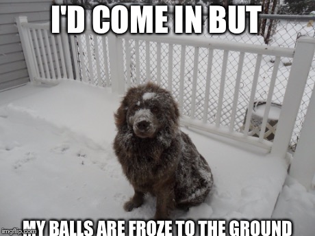I'D COME IN BUT MY BALLS ARE FROZE TO THE GROUND | image tagged in memes | made w/ Imgflip meme maker