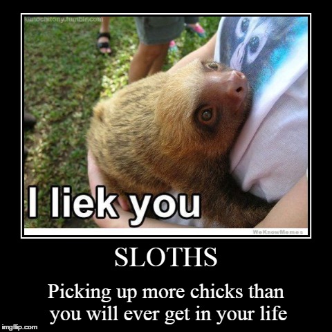 Life of Sloth | image tagged in funny,demotivationals,sloths,i liek you | made w/ Imgflip demotivational maker