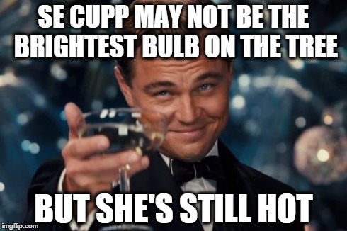 Leonardo Dicaprio Cheers Meme | SE CUPP MAY NOT BE THE BRIGHTEST BULB ON THE TREE BUT SHE'S STILL HOT | image tagged in memes,leonardo dicaprio cheers | made w/ Imgflip meme maker