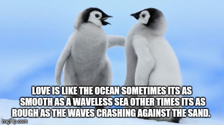 Penguin love | LOVE IS LIKE THE OCEAN SOMETIMES ITS AS SMOOTH AS A WAVELESS SEA OTHER TIMES ITS AS ROUGH AS THE WAVES CRASHING AGAINST THE SAND. | image tagged in penguin love | made w/ Imgflip meme maker