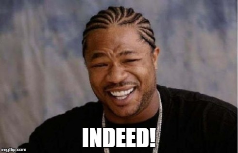 Yo Dawg Heard You Meme | INDEED! | image tagged in memes,yo dawg heard you | made w/ Imgflip meme maker