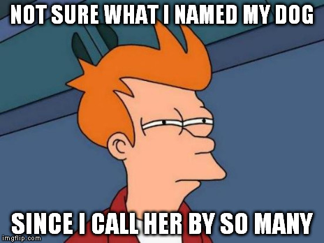Futurama Fry Meme | NOT SURE WHAT I NAMED MY DOG SINCE I CALL HER BY SO MANY | image tagged in memes,futurama fry | made w/ Imgflip meme maker